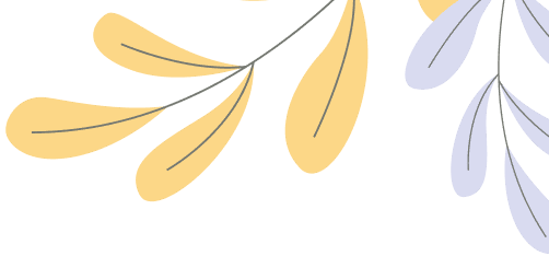 The best Polo Collection 2025